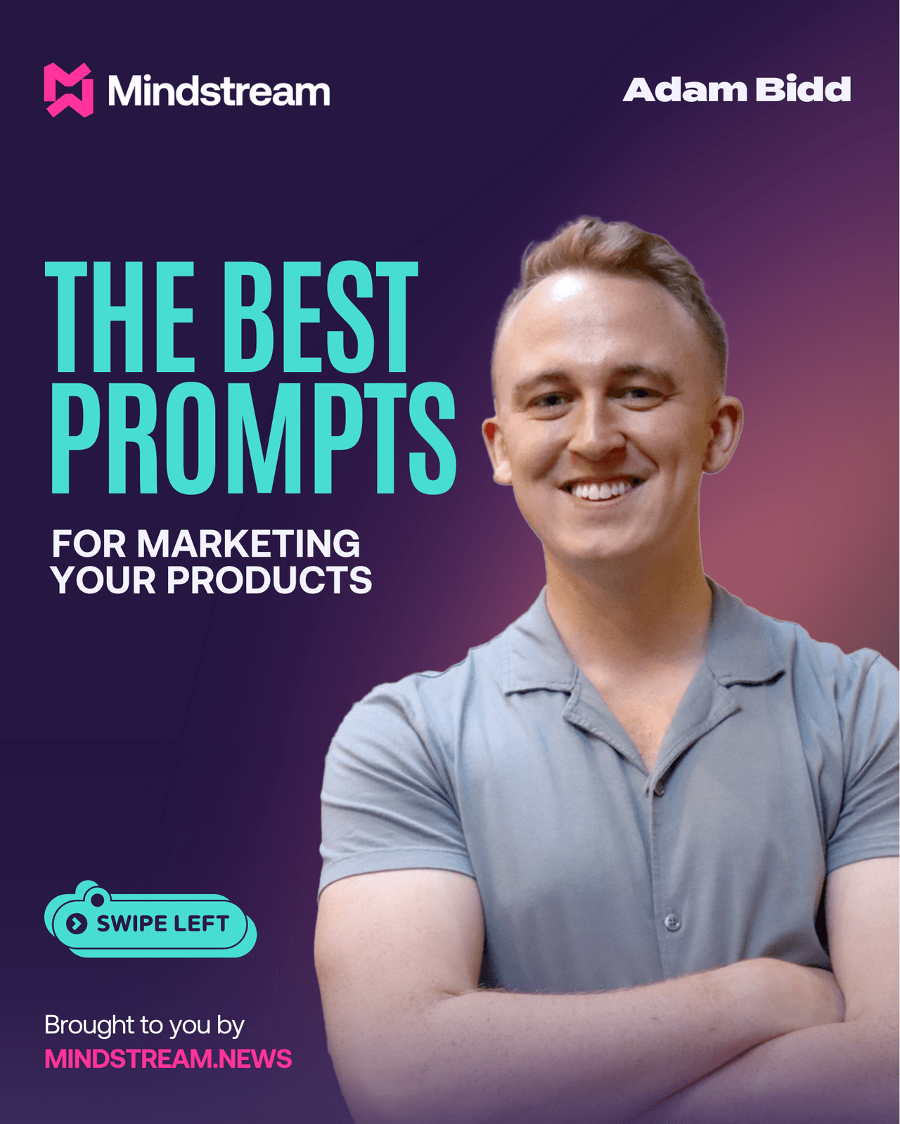THE BEST PROMPTS