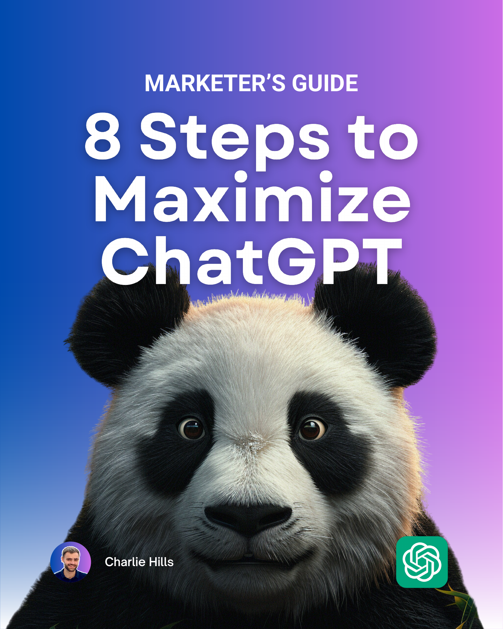 8 Steps to Maximize ChatGPT