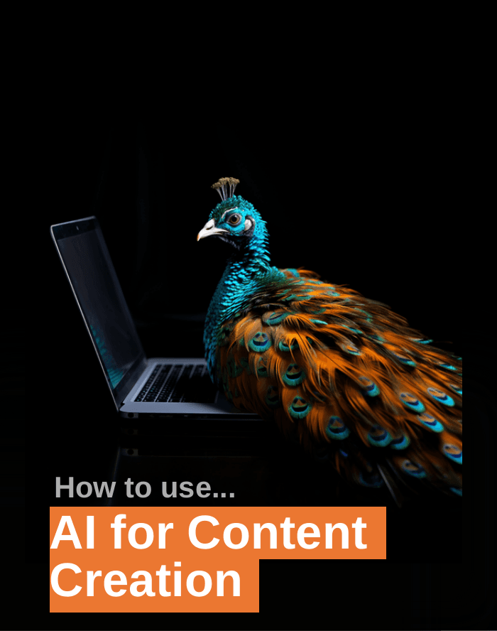 How to use AI for Content Creation